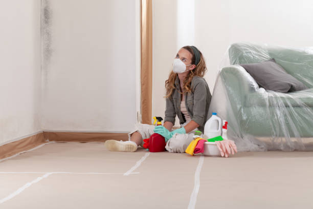 Reliable Black Mold Remediation contractor in Gretna, VA by 24 Hour Mold Removal